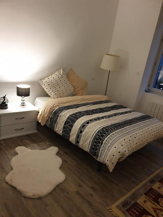 Appartement Cosy Et Chaleureux Лон-ле-Сонье Экстерьер фото